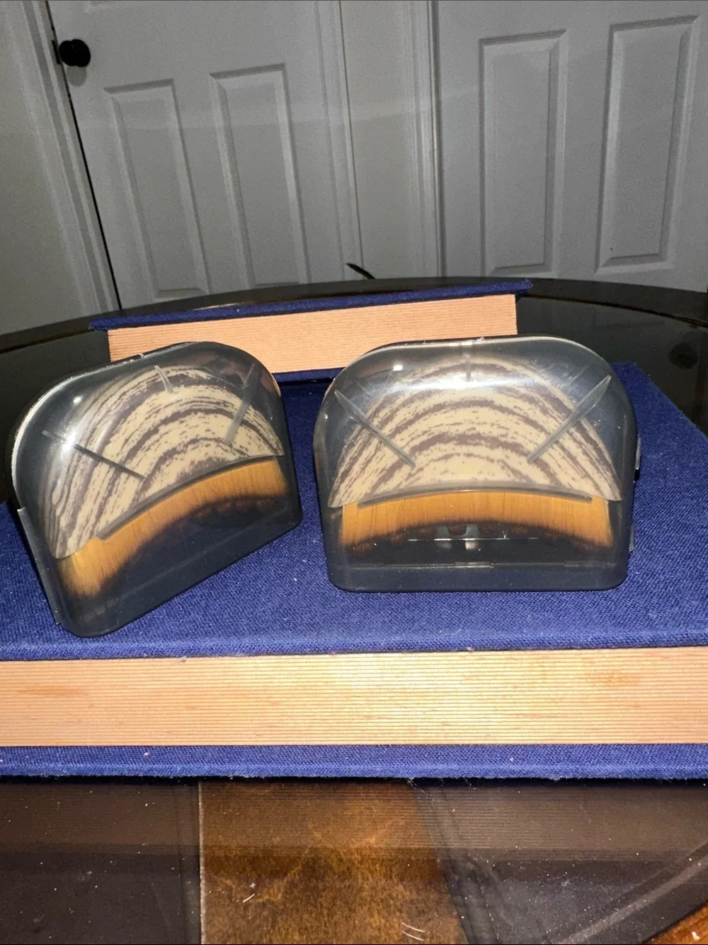 Set of Two Fan Makeup Brushes with Protective Cases - Beige Bristles